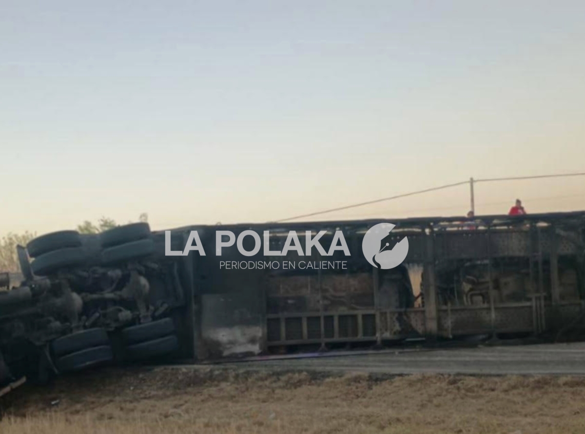 Torniquete en Carretera Delicias